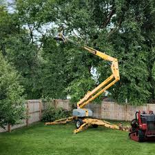 Best Tree Mulching  in Kiln, MS