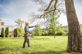 How Our Tree Care Process Works  in  Kiln, MS